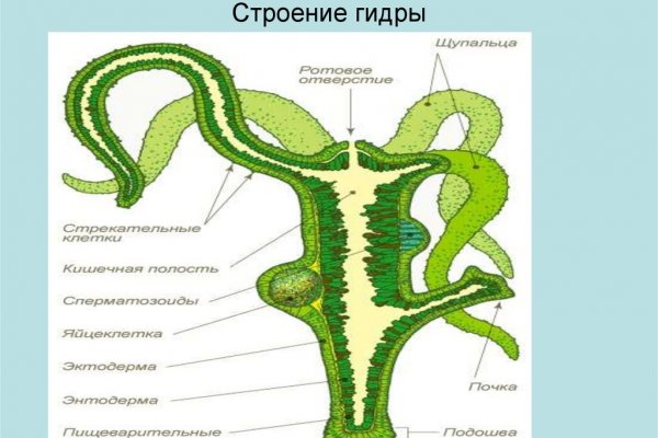 Даркмаркеты