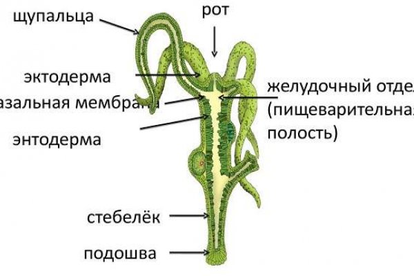 Взломали аккаунт кракен