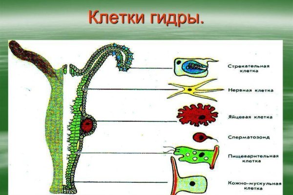 Кракен онион даркнет площадка