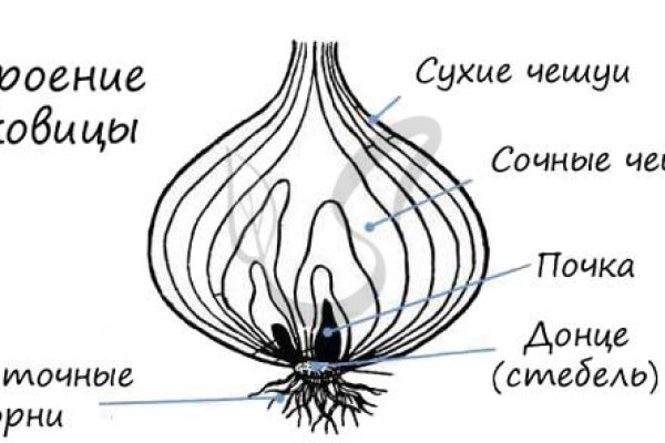 Каталог даркнет сайтов