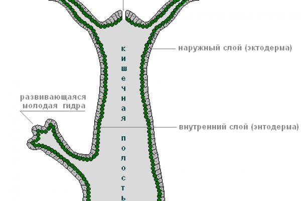 Ссылки на дарк нет